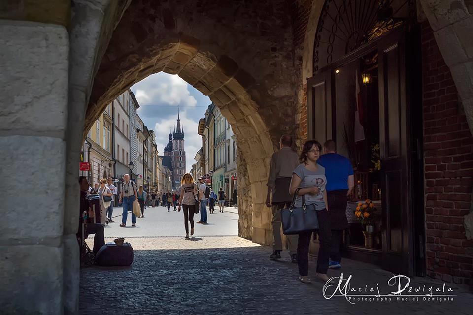 Hummus Vegan * Kraków